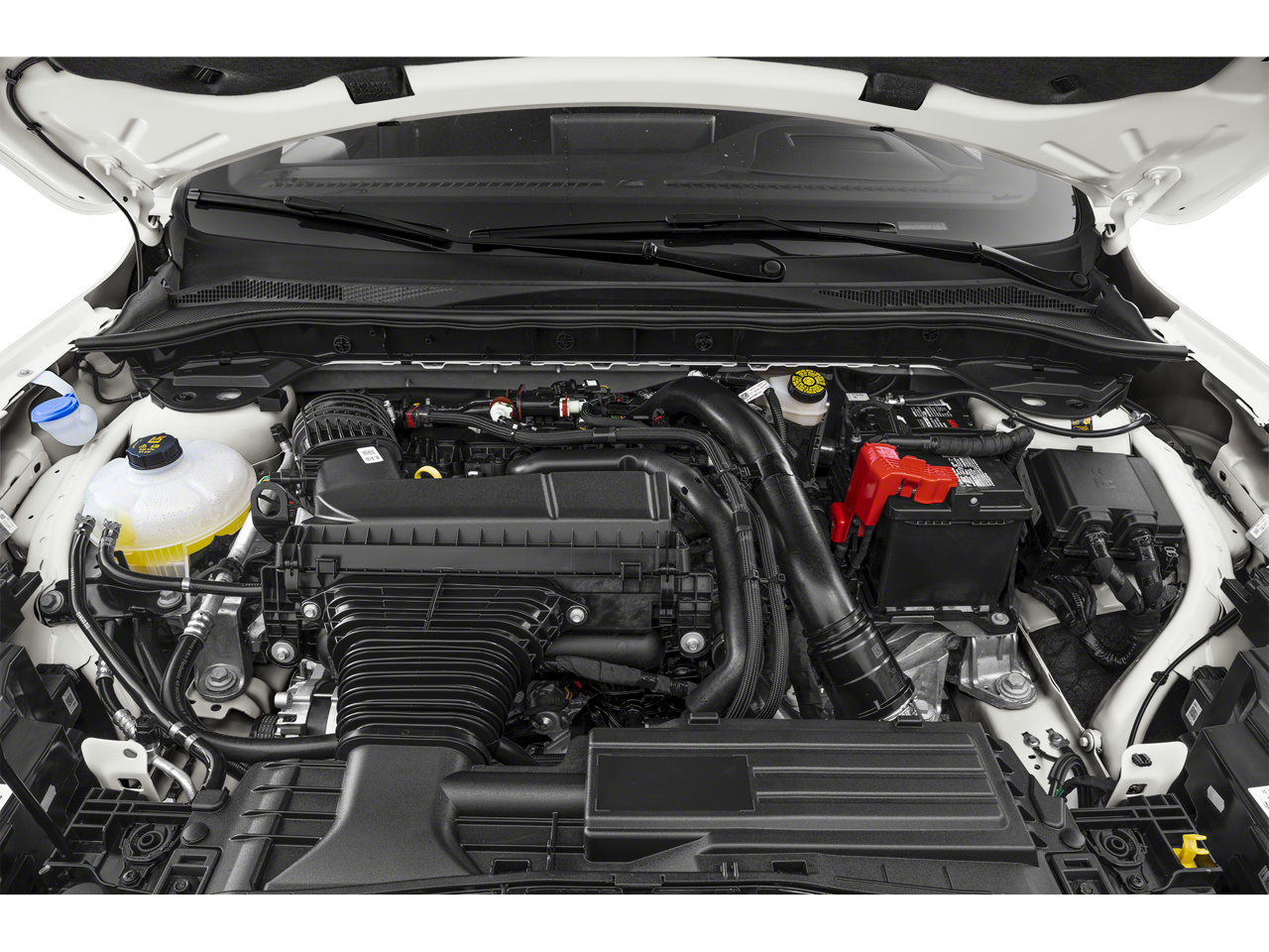 2024 Ford Escape ST-Line Elite