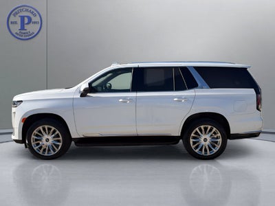 2021 Cadillac Escalade Premium Luxury